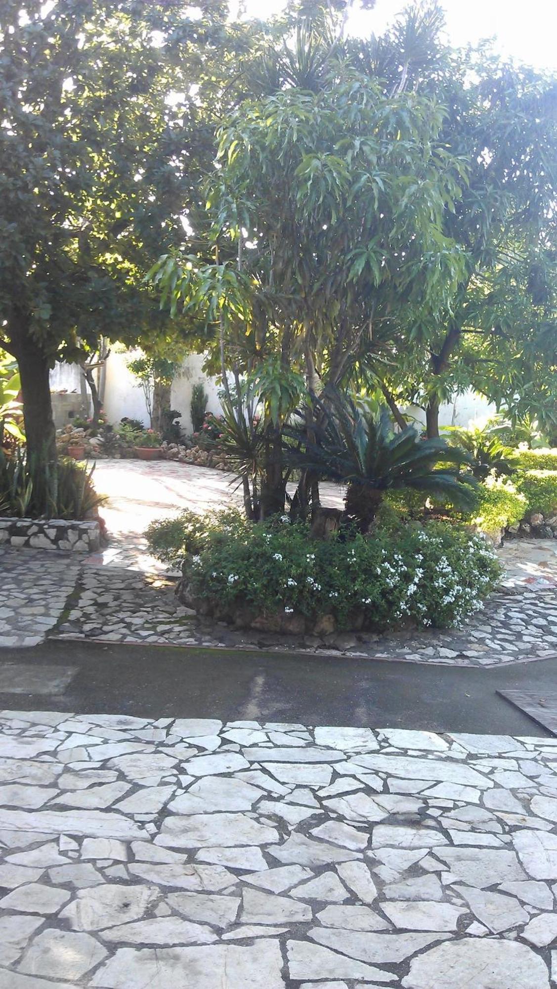 Hotel Tropicana Santo Domingo La Viva Dış mekan fotoğraf